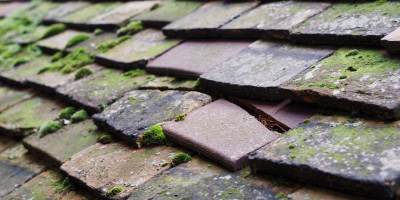 Swailes Green roof repair costs